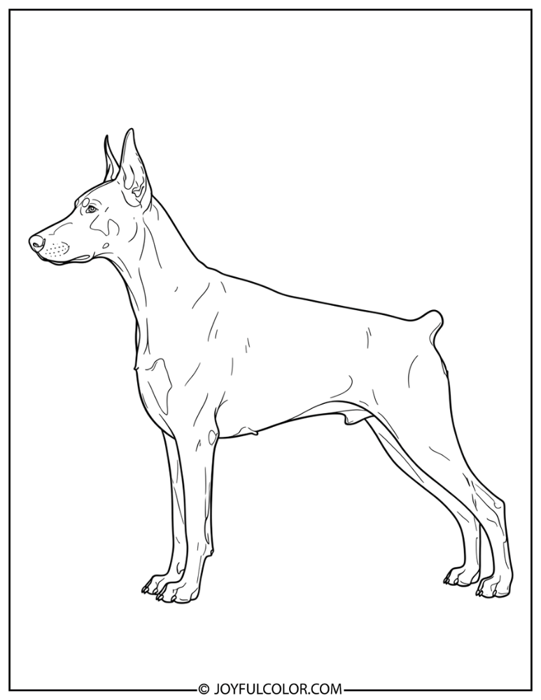 Side Profile Doberman Coloring Page