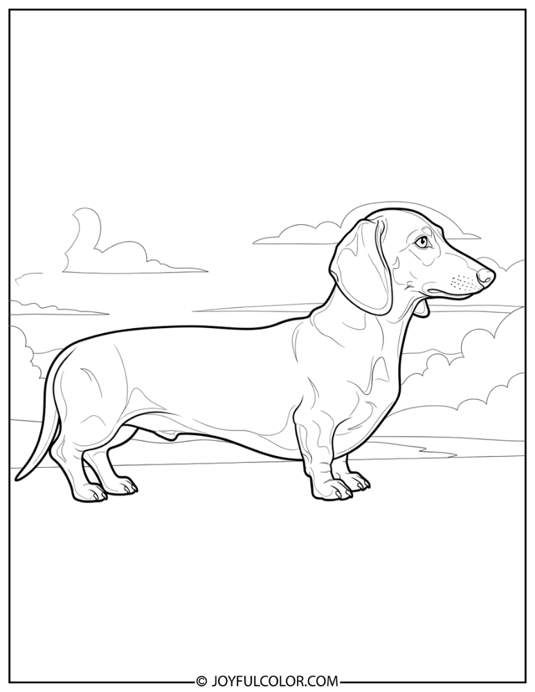 Side Profile Realistic Dachshund
