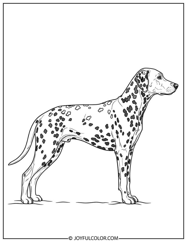 Side Profile Realistic Dalmatian Coloring Page