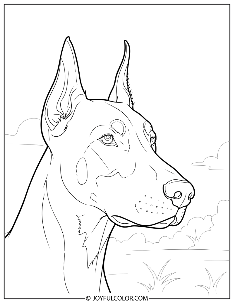 Side Profile Realistic Doberman Coloring Page