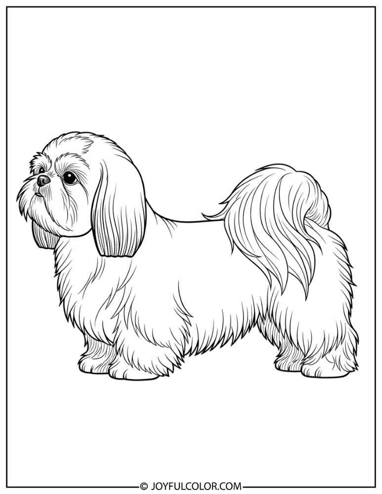 Side Profile Realistic Shih Tzu Coloring Page