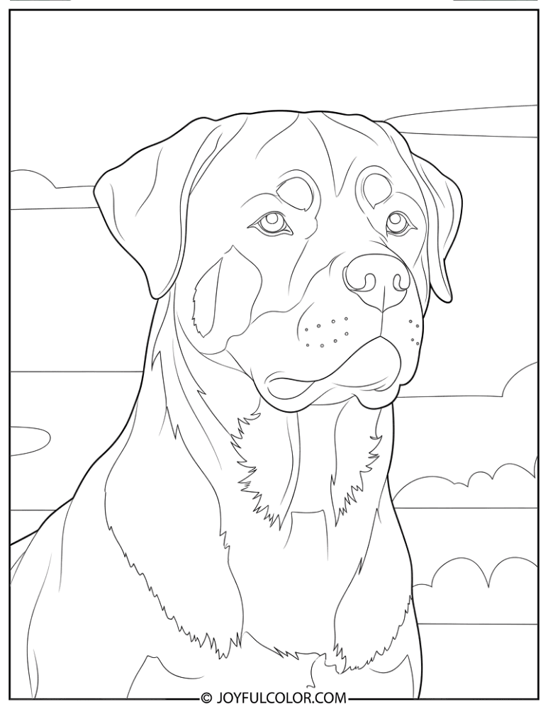 Side Profile Rottweiler Coloring Page
