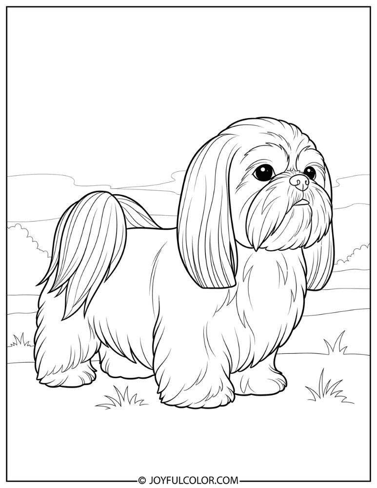 Side Profile Shih Tzu Coloring Page