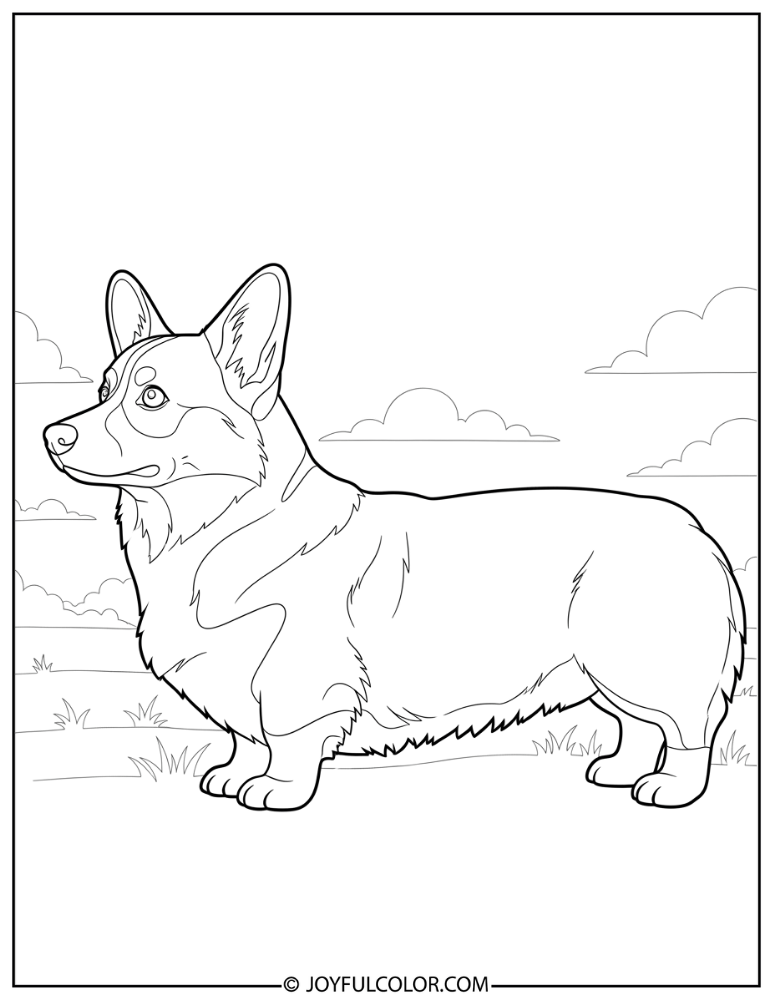 Side View Corgi Coloring Page