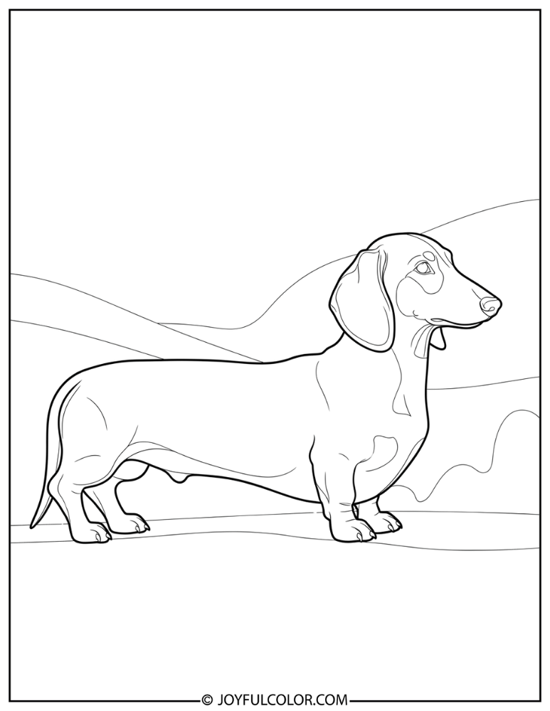 Side View Long Body Dachshund Coloring Page