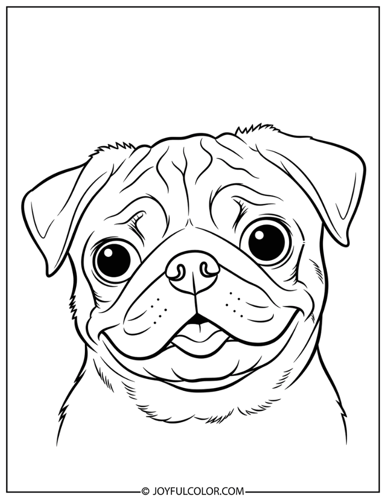 Silly Face Pug Coloring Page