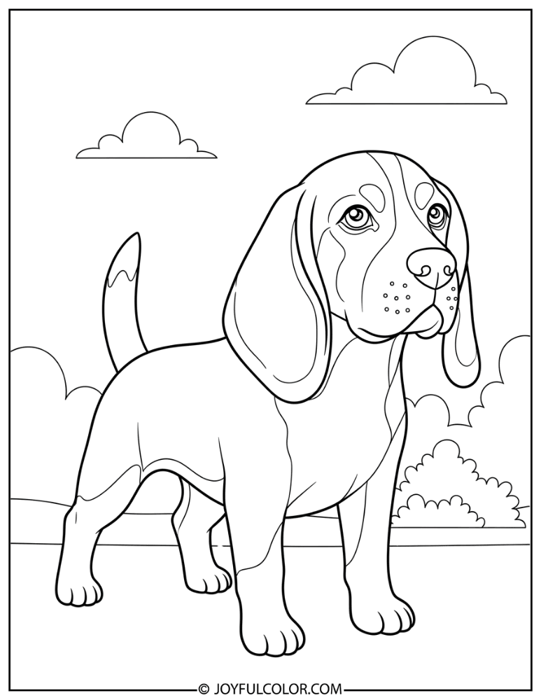 Simple Beagle Outline Coloring Page