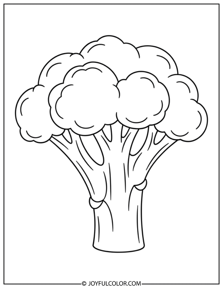 Simple Broccoli Illustration Coloring Page