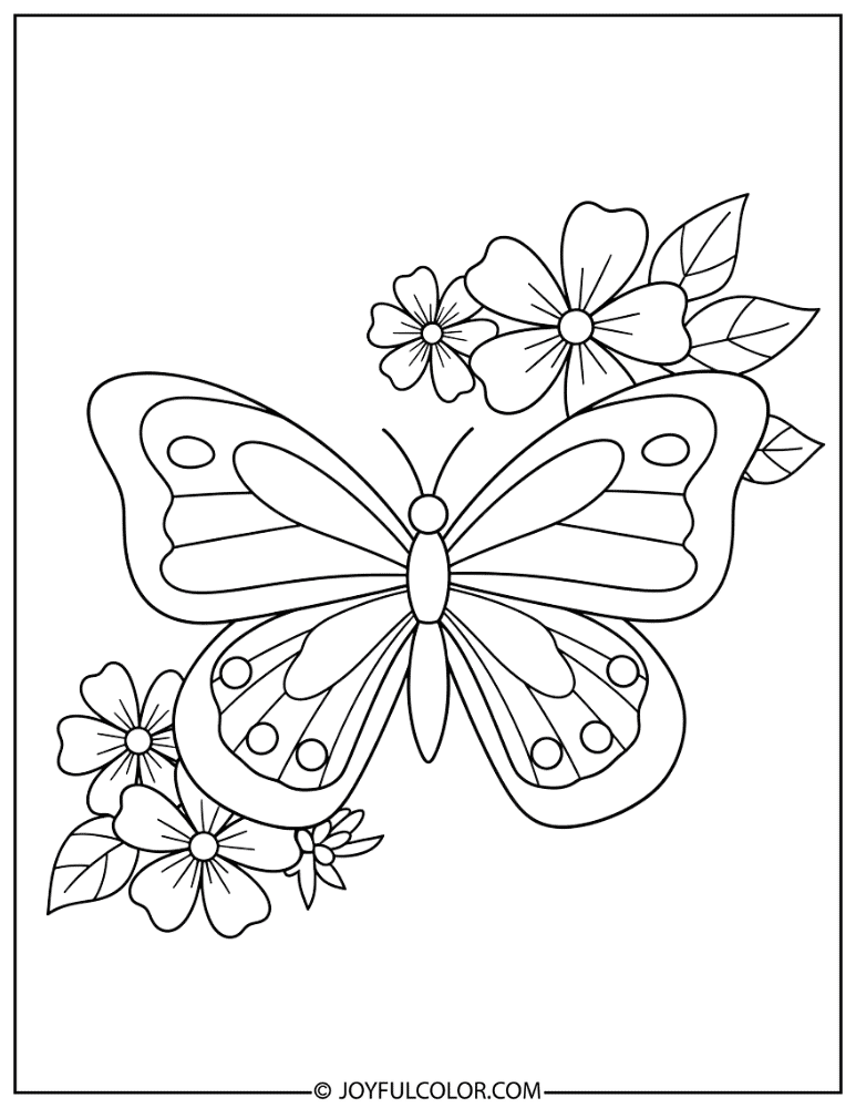 Simple Butterfly and Flower Coloring Page