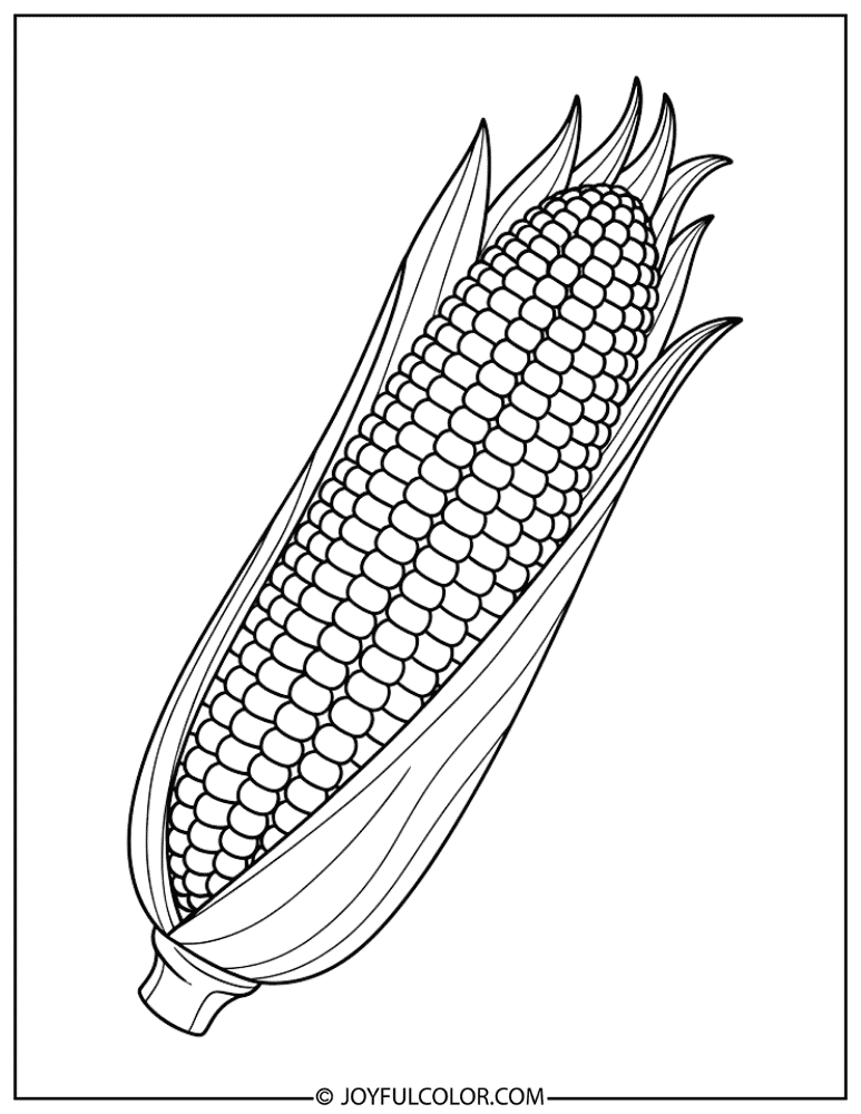 Simple Corn Cob Coloring Page
