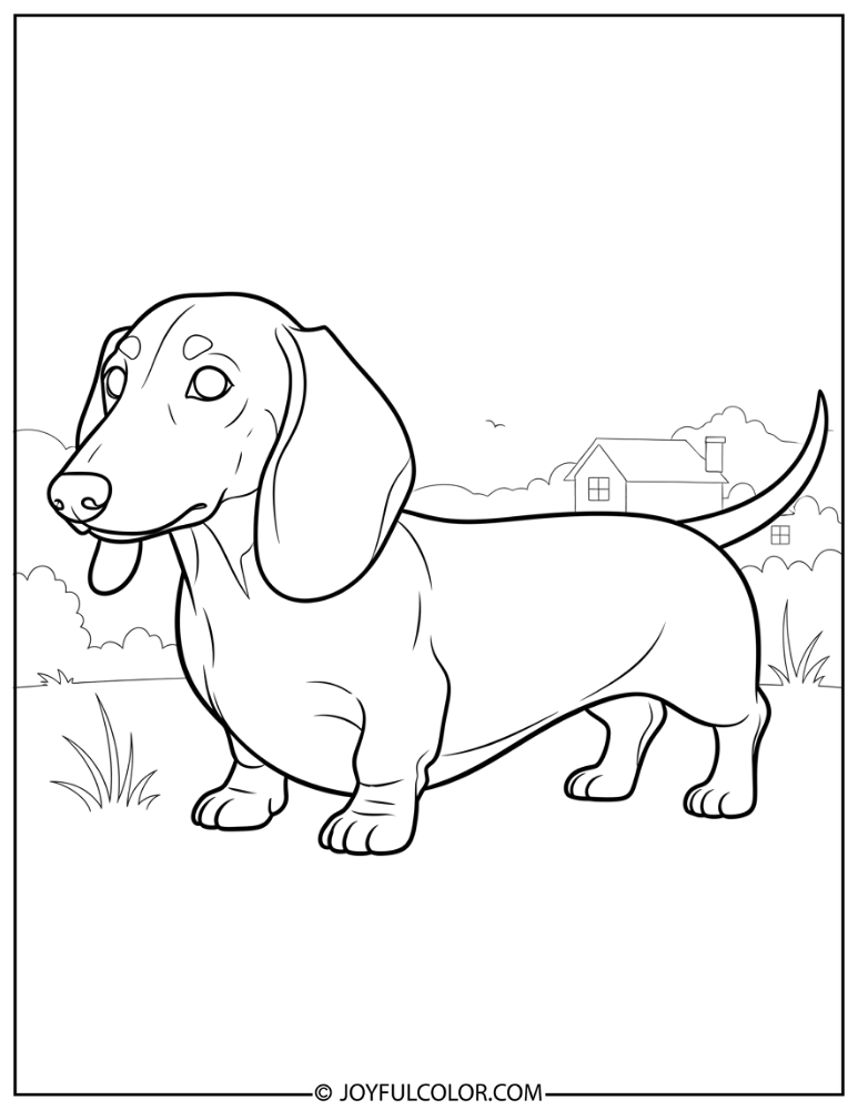 Simple Dachshund Outline