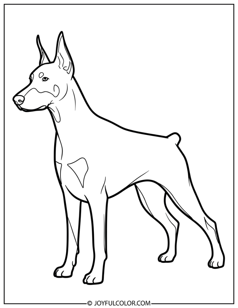 Simple Doberman Outline Coloring Page