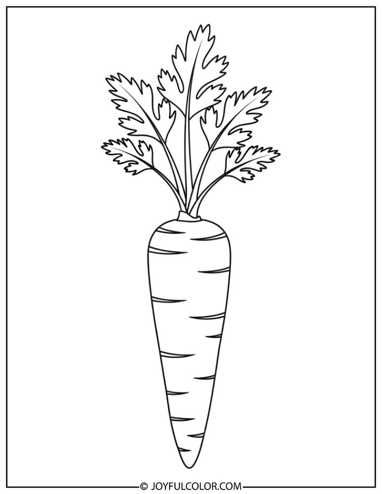 Simple Fresh Carrot Coloring Page
