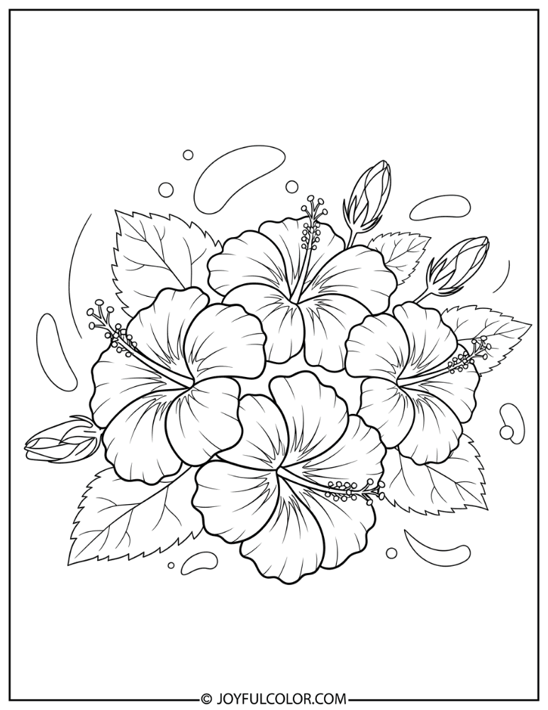 Simple Hibiscus Outline Coloring Page