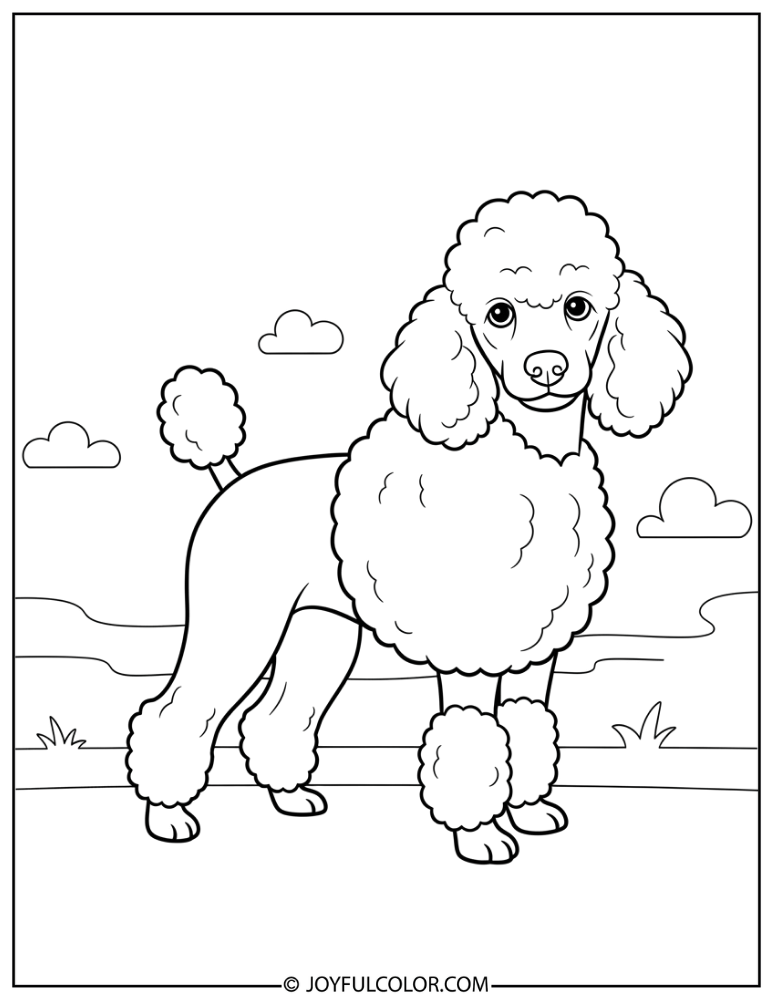 Simple Poodle Outline Coloring Page