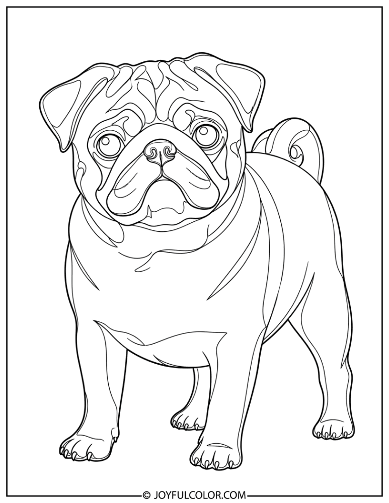 Simple Pug Outline Coloring Page
