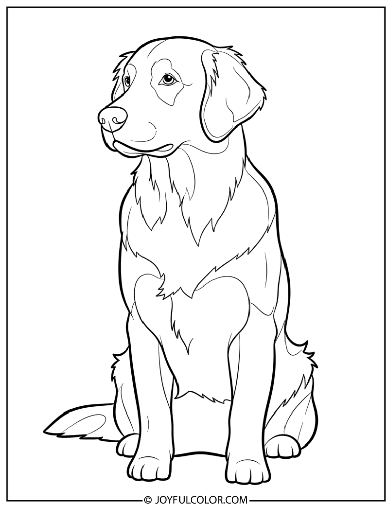 Simple Retriever Outline Coloring Page