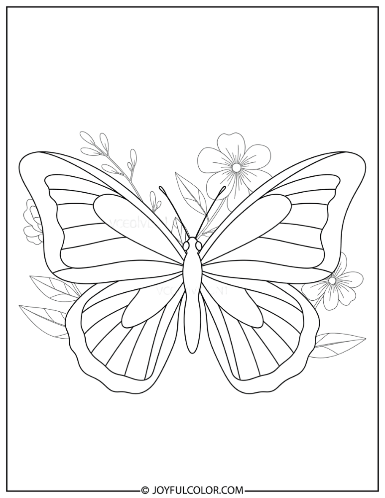 Simple Symmetrical Butterfly Coloring Page