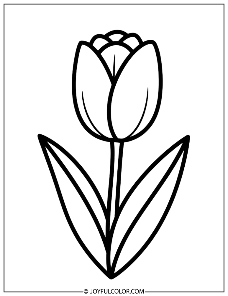Simple Tulip Spring Flower Coloring Page