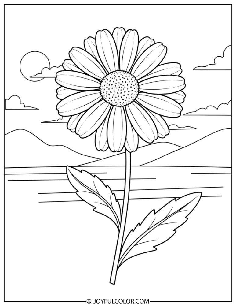 Single Bloom Daisy Coloring Page