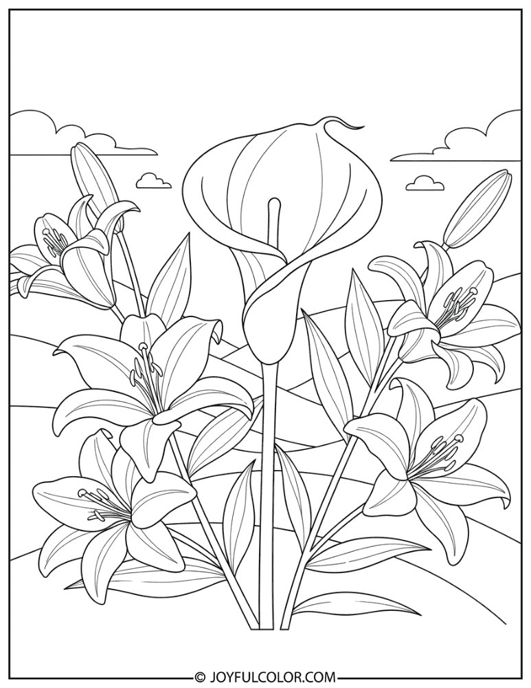 Single Calla Lily Coloring Page