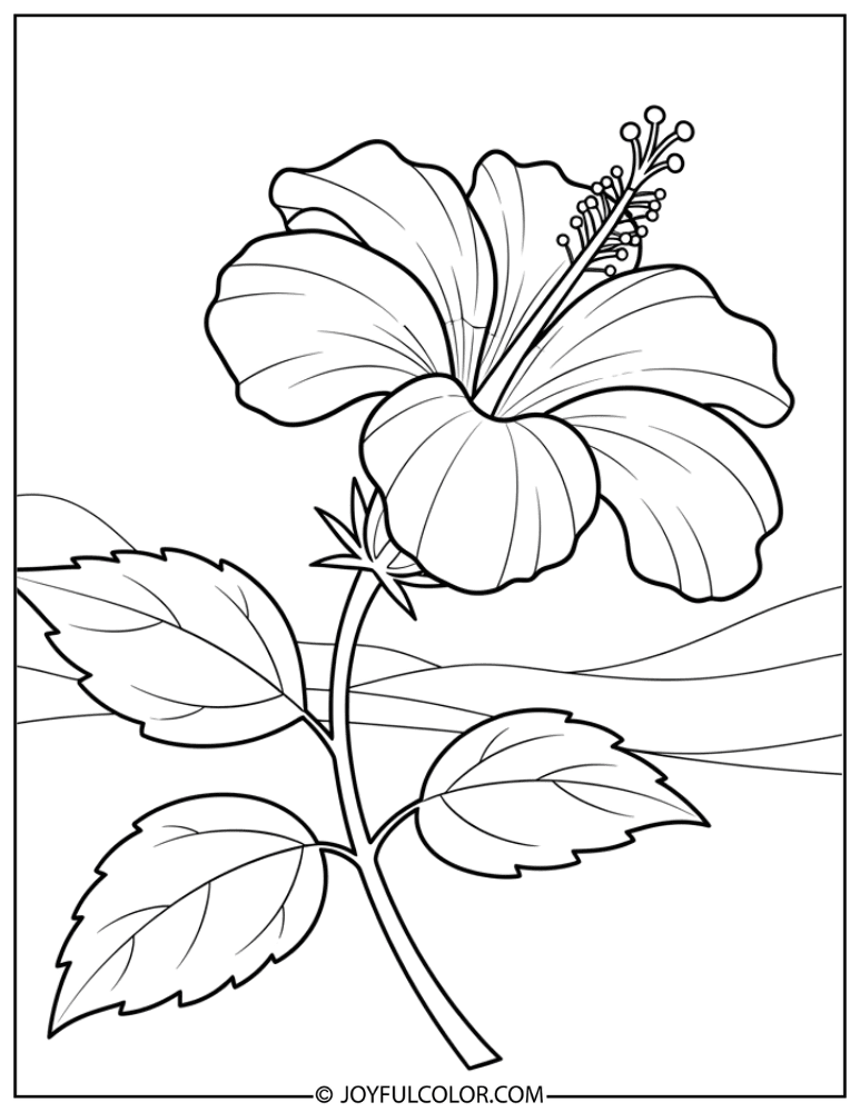 Single Hibiscus Bloom Coloring Page