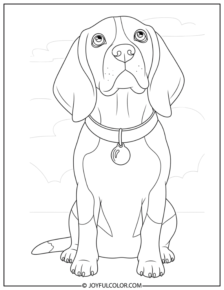 Sitting Beagle Looking Up Coloring Page
