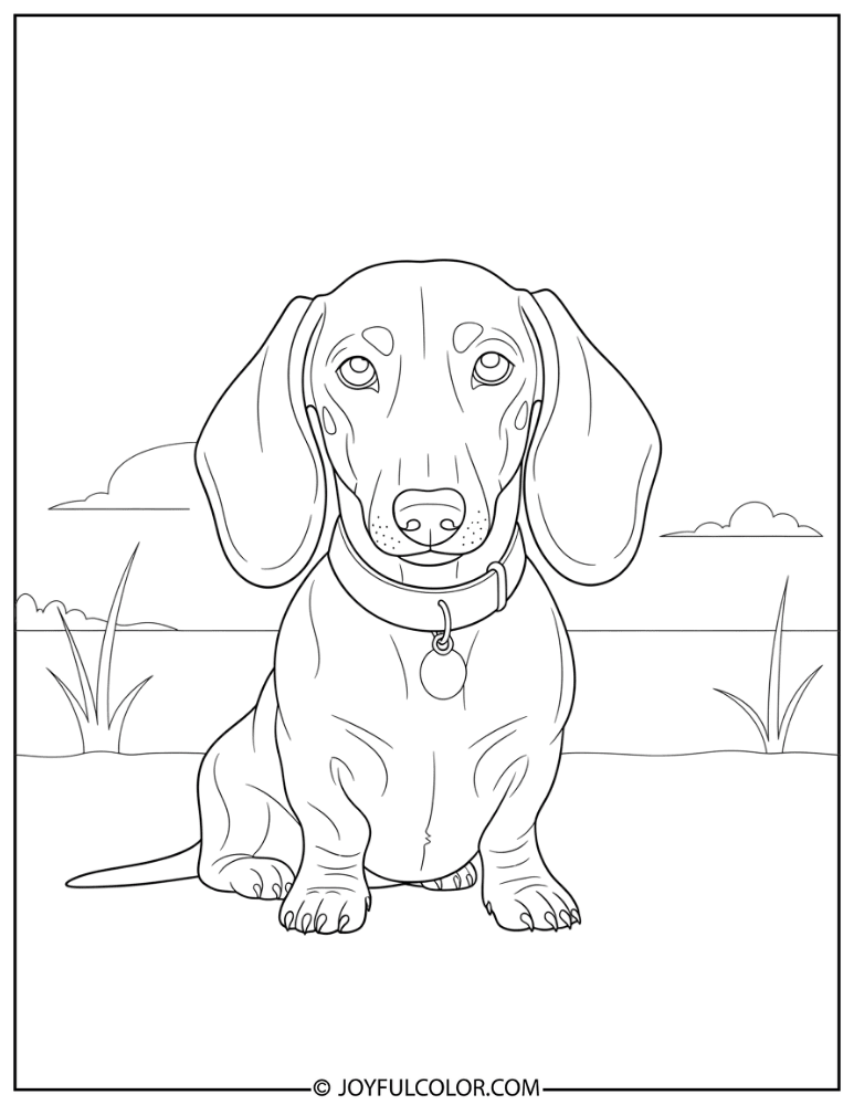 Sitting Dachshund Coloring Page