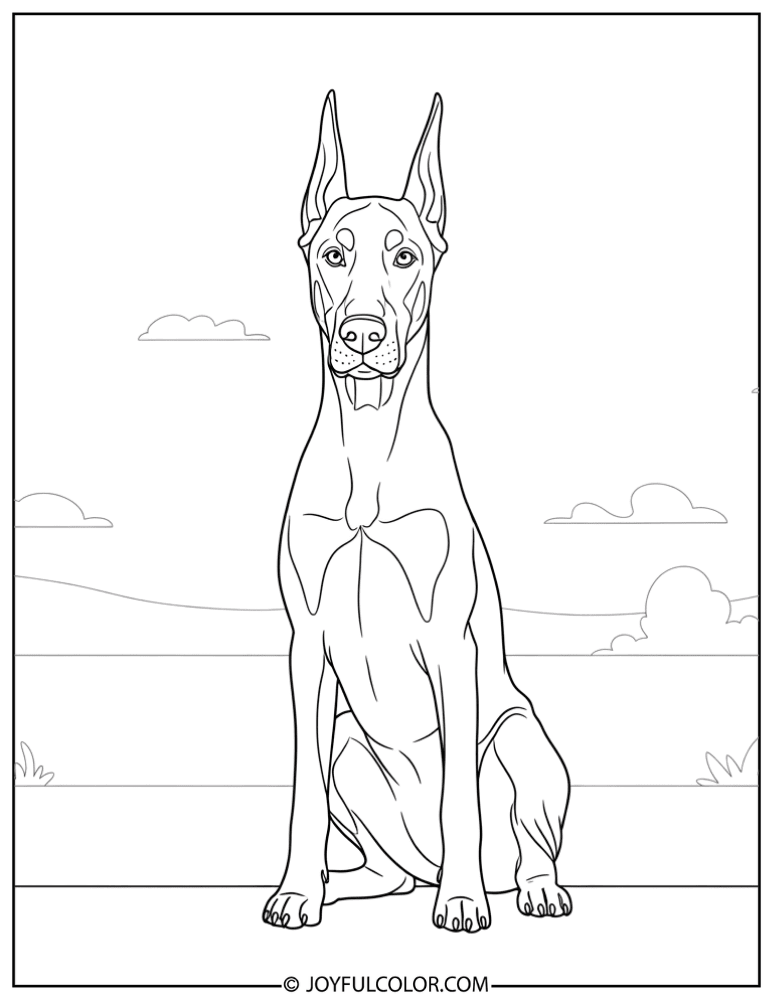 Sitting Doberman Coloring Page