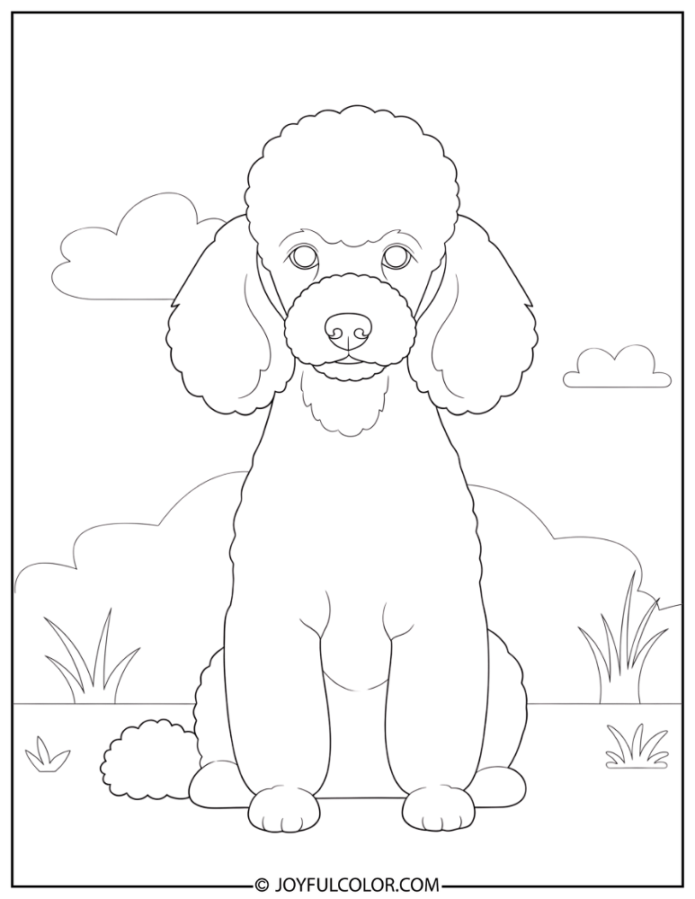 Sitting Poodle Portrait Coloring Page