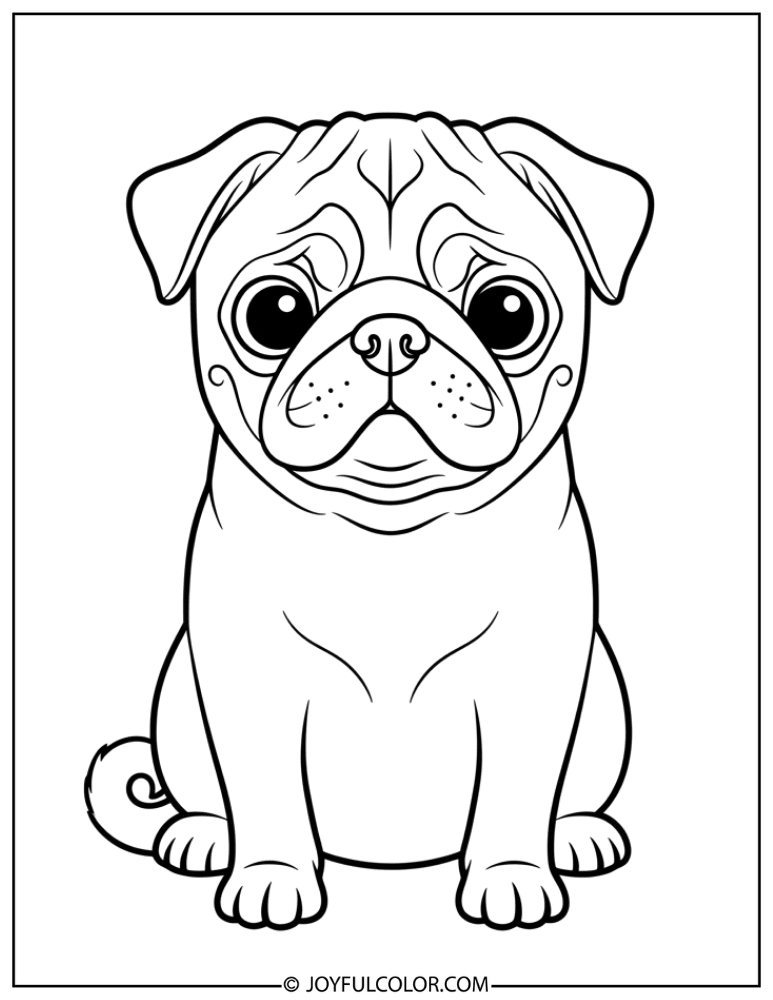 Sitting Pug Coloring Page