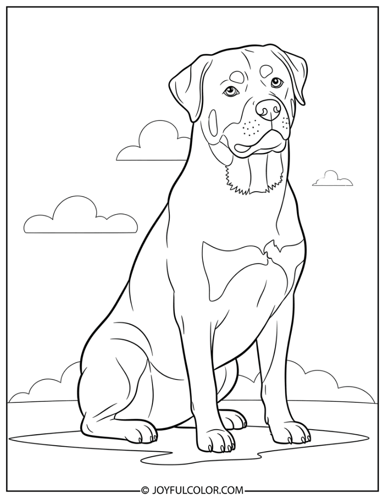 Sitting Rottweiler Coloring Page