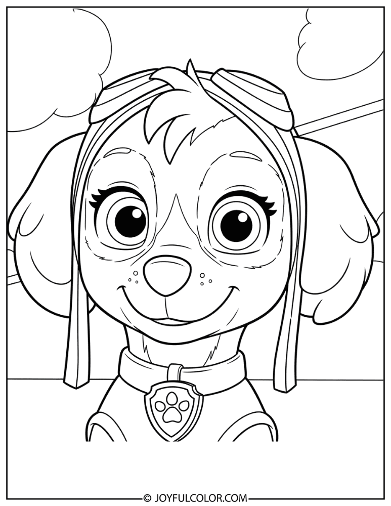 Skye Face Close-Up Coloring Page