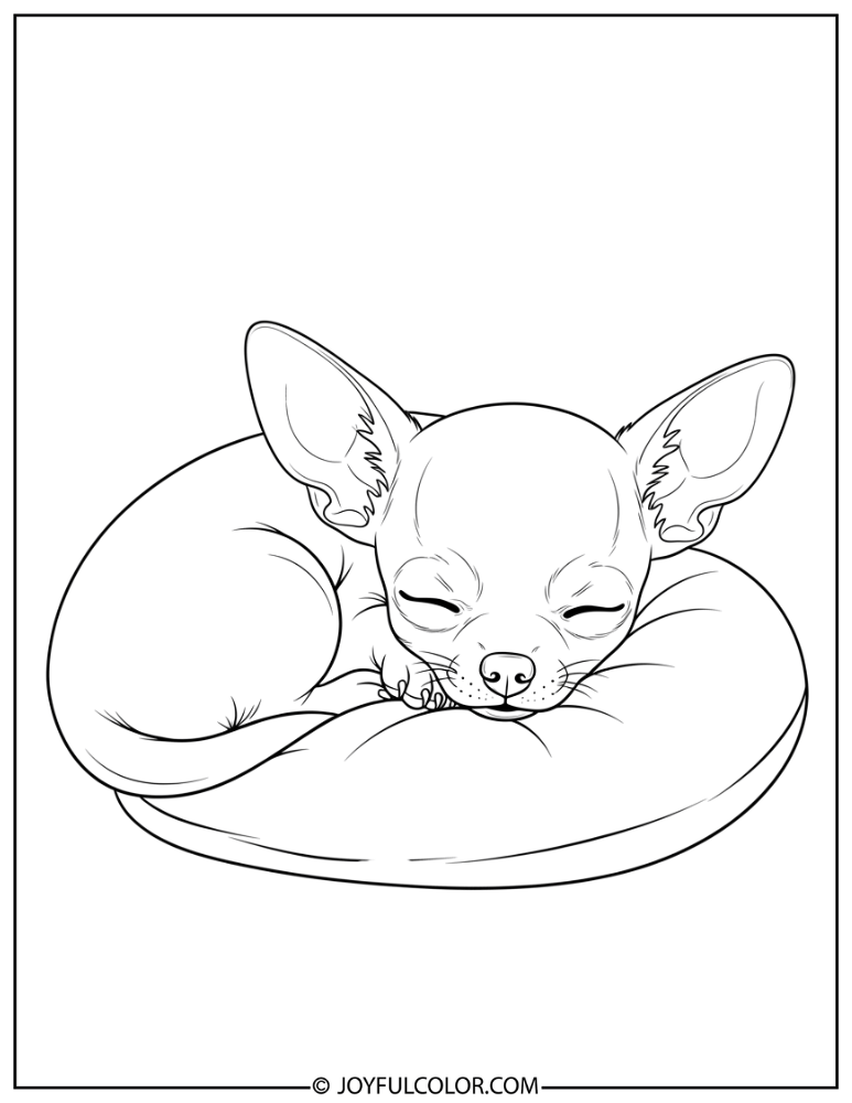Sleeping Chihuahua Puppy Coloring Page