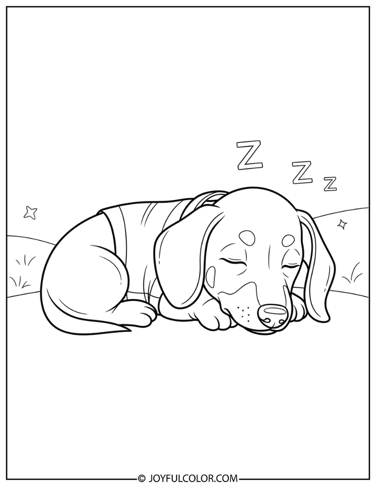 Sleeping Dachshund Puppy