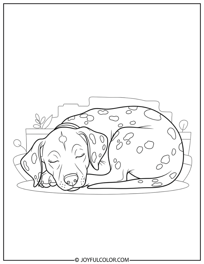 Sleeping Dalmatian Puppy Coloring Page