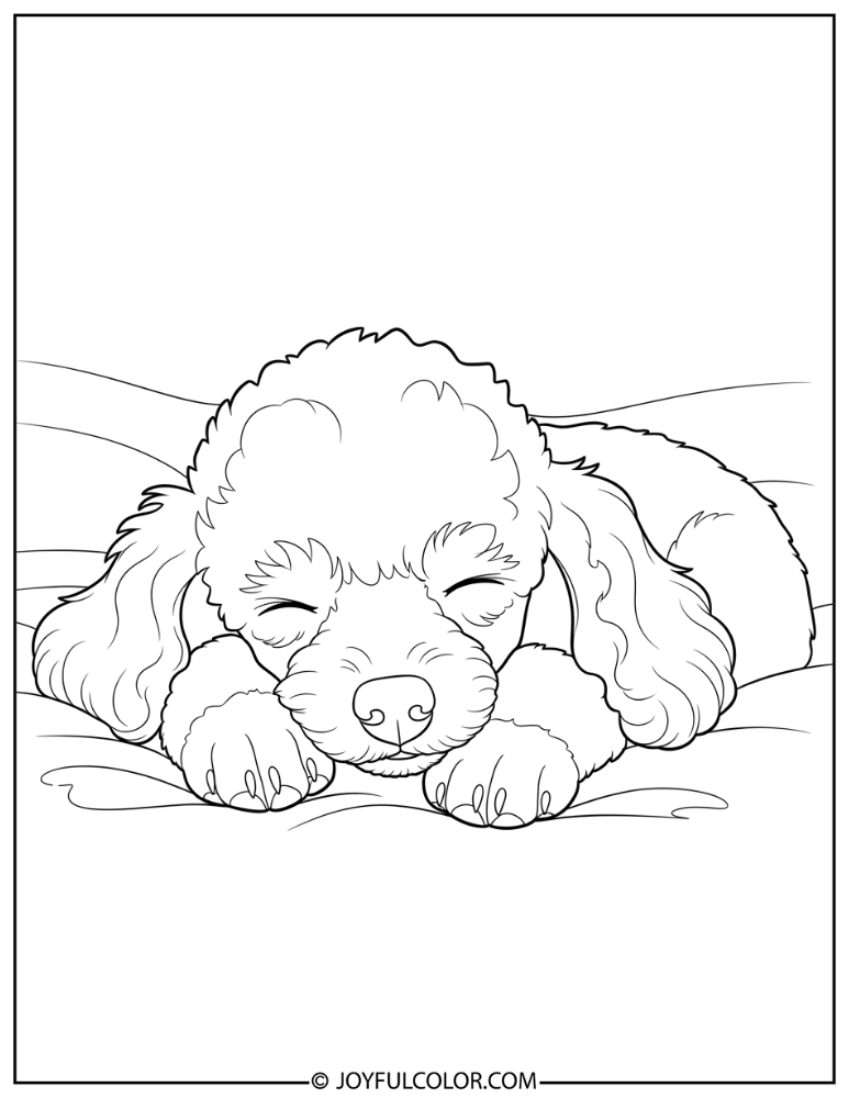 Sleeping Poodle Puppy Coloring Page