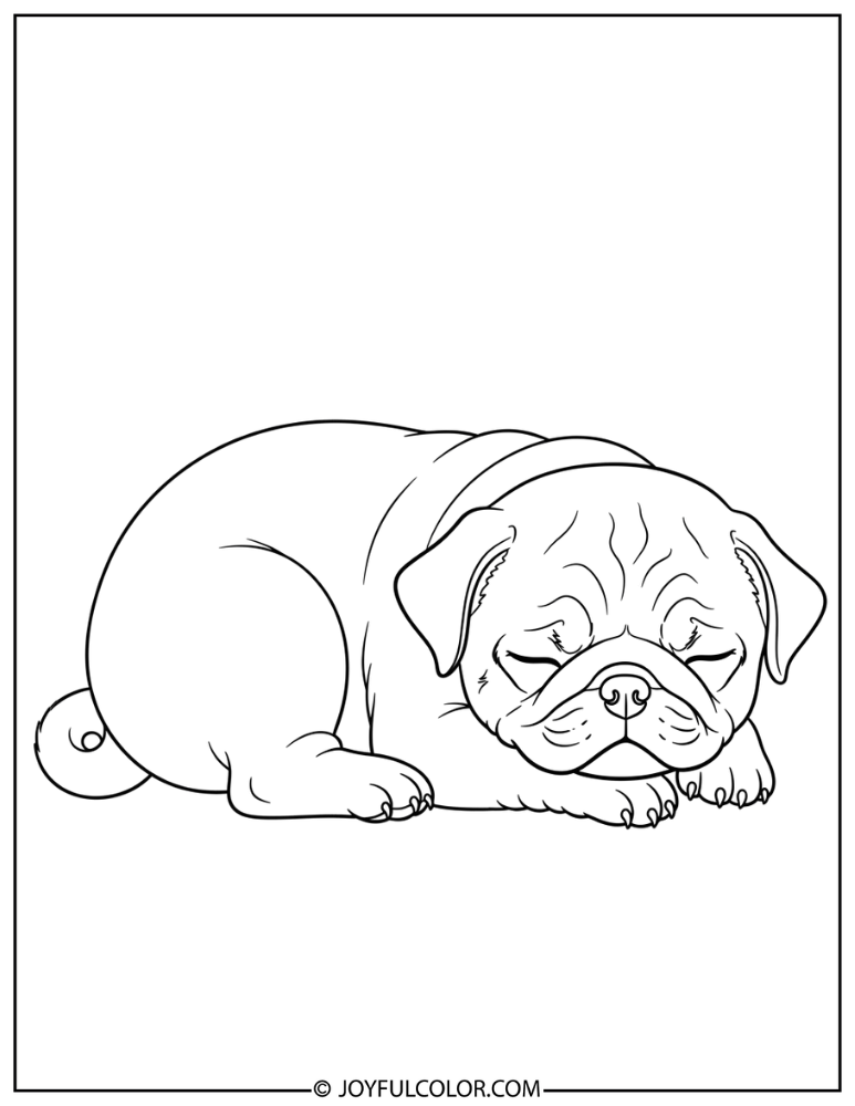 Sleeping Pug Puppy Coloring Page