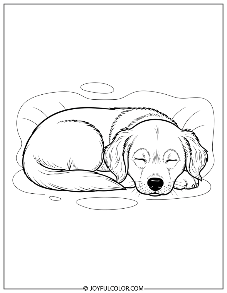 Sleeping Retriever Puppy Coloring Page