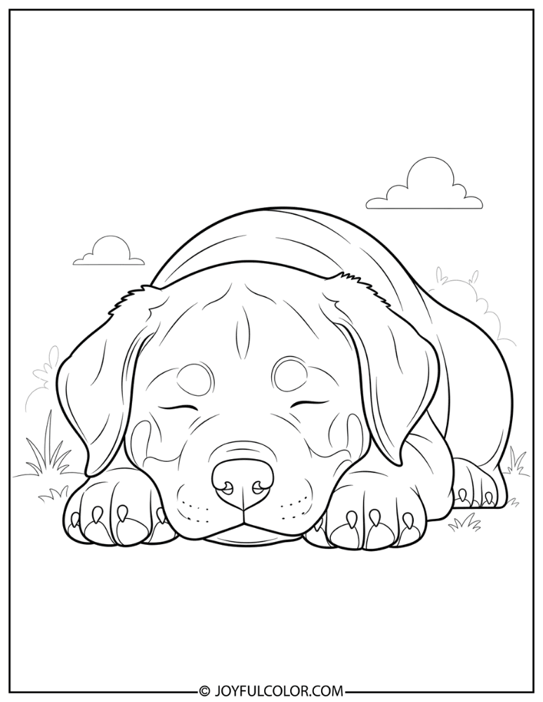 Sleeping Rottweiler Puppy Coloring Page