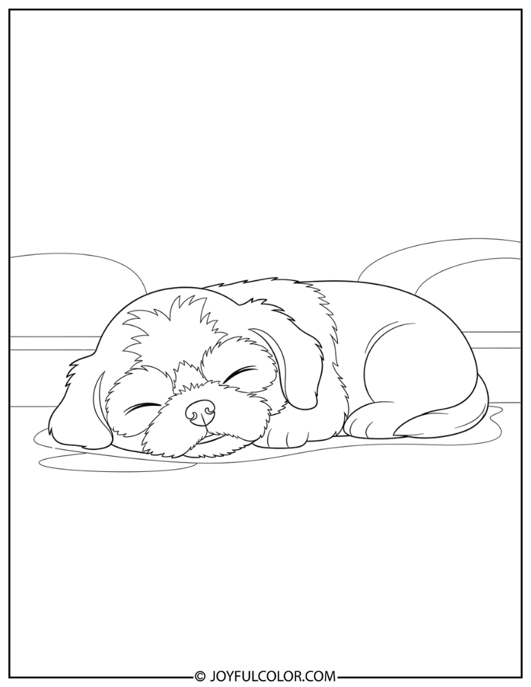 Sleeping Shih Tzu Puppy Coloring Page
