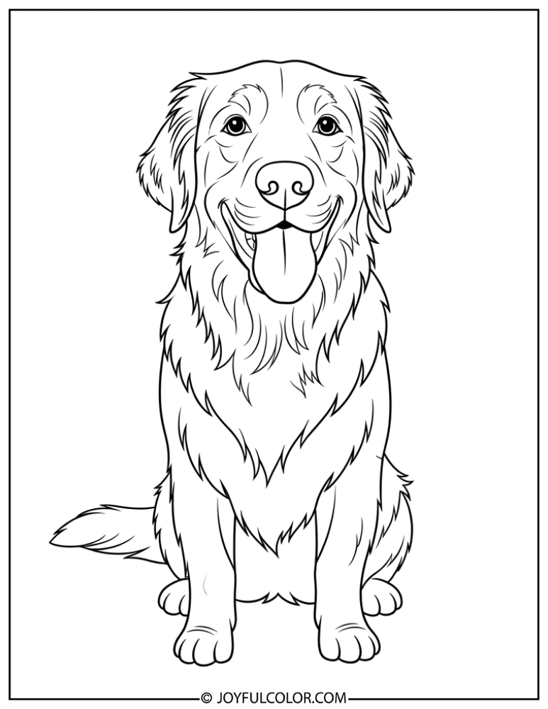 Smiling Golden Retriever Coloring Page