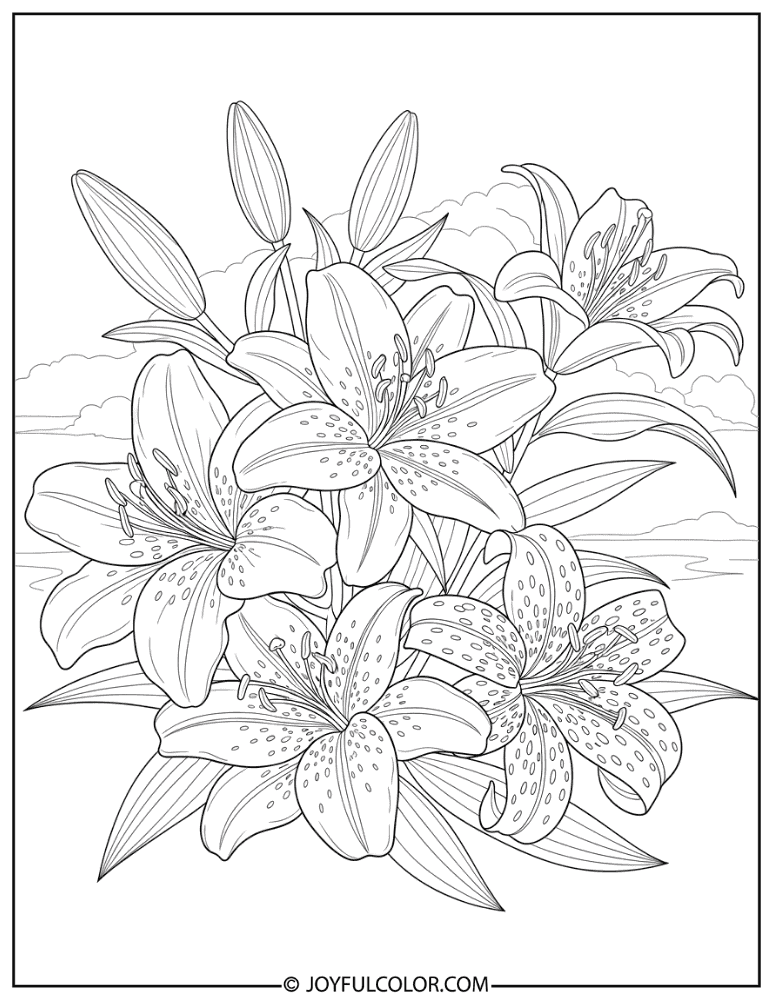 Spotted Tiger Lily Illustration Coloring Page