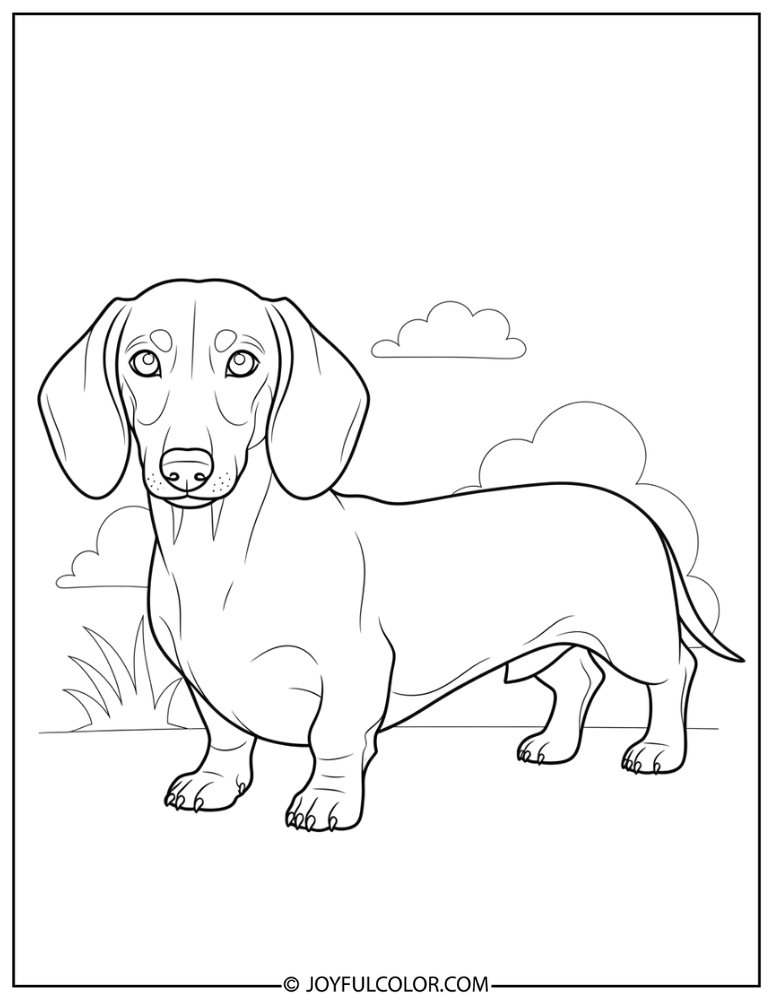 Standing Dachshund Coloring Page
