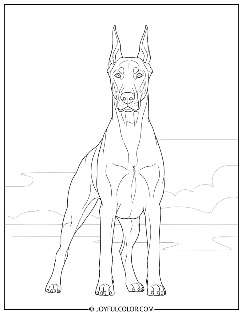 Standing Doberman Coloring Page