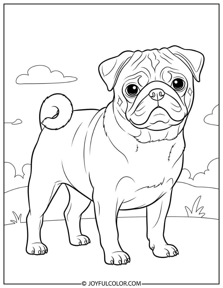 Standing Pug Coloring Page