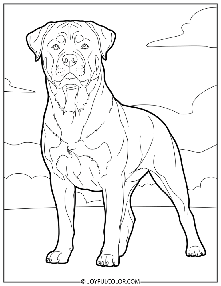 Standing Rottweiler Coloring Page