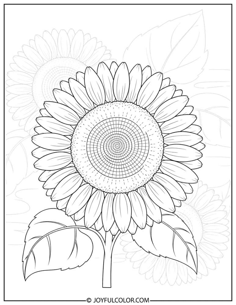 Sunflower Spring Bloom Coloring Page