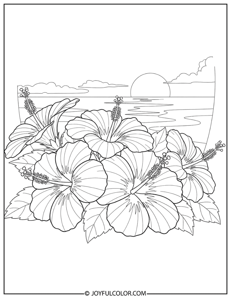 Sunset Beach Hibiscus Coloring Page