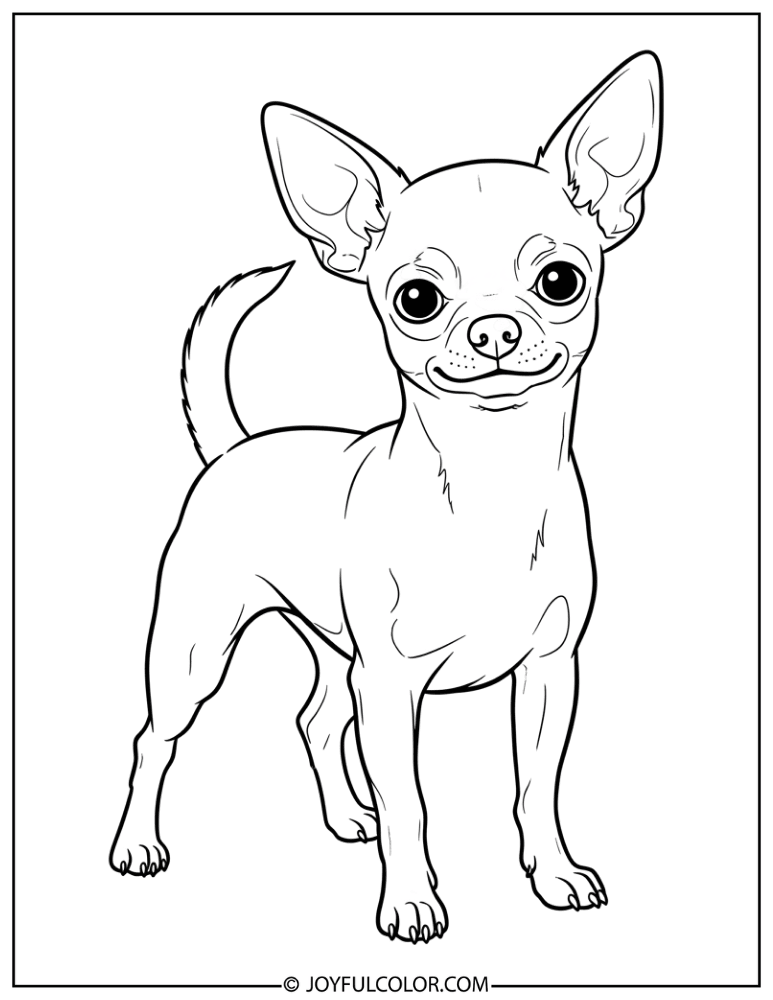 Tail Up Chihuahua Coloring Page